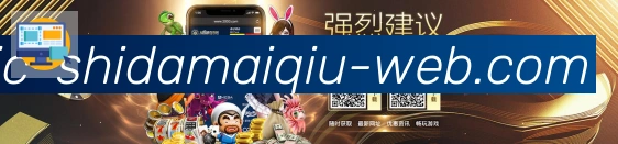 平台展示图